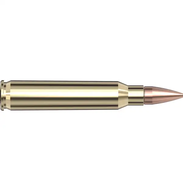 redwoodarsenal (97) Hornady Superformance Match 5.56x45mm NATO Ammo