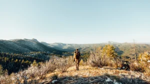 Top 10 Must-Have Hunting Gear for 2026 (Expert Picks)